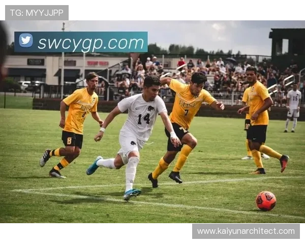 开云真人体育娱乐：体验最专业的真人体育赛事直播平台全新升级